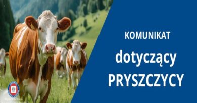 Pryszczyca – na co zwrócić uwagę
