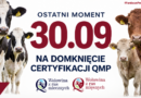 Certyfikat QMP — termin uzyskania upływa 30 września 2026 r.